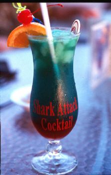 Shark Attack by Beverly Speed 